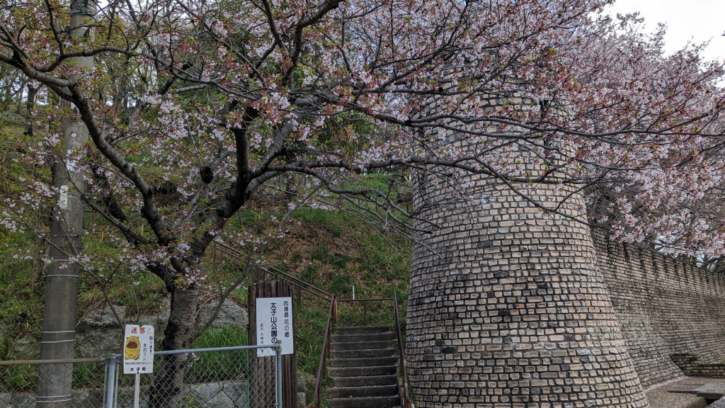（ライター投稿）【太子町】太子山公園 – 太子町が見渡せる桜の名所に蒸気機関車も展示